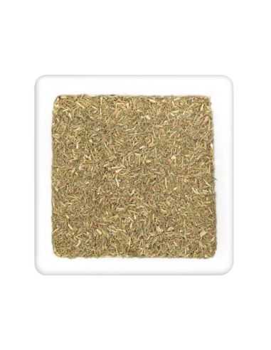 Quadratischer Teller mit getrocknetem, fein gerebeltem, olivgrünem Thymian