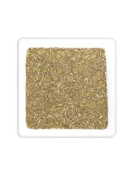 Quadratischer Teller mit getrocknetem, fein gerebeltem, olivgrünem Thymian