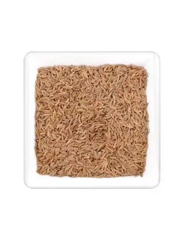 Quadratischer Teller mit vielen ganzen, hellbraunen Kümmelsamen