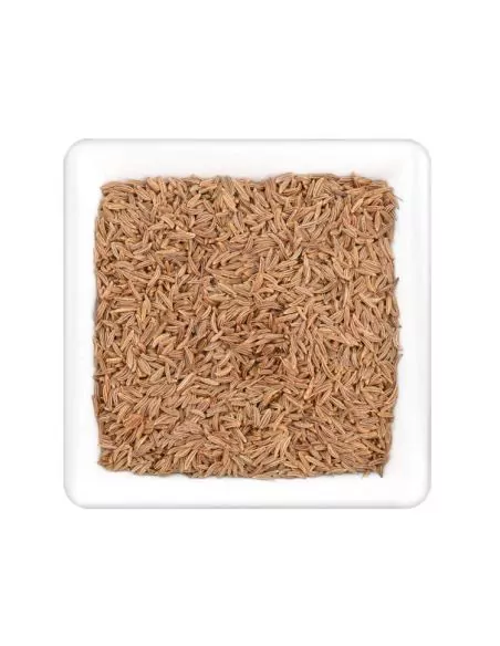 Quadratischer Teller mit vielen ganzen, hellbraunen Kümmelsamen