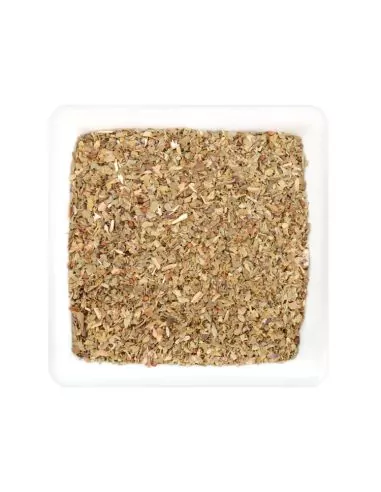 Quadratische weiße Schale mit hellbraun-grünlichen, grob gerebelten Basilikumblättern Quadratische weiße Schale mit hellbraun-grünlichen, grob gerebelten Basilikumblättern