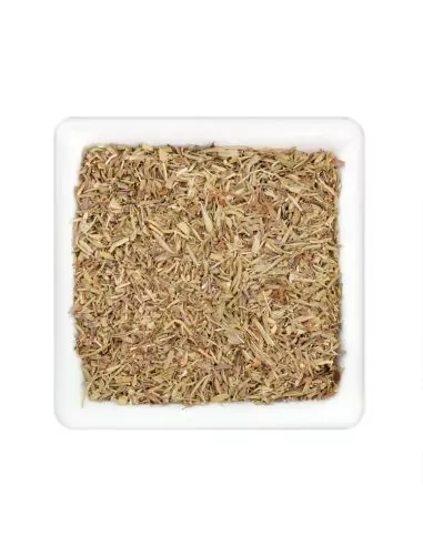 Quadratischer Teller mit getrocknetem, grün-braunem Bohnenkraut in gerebelter Form