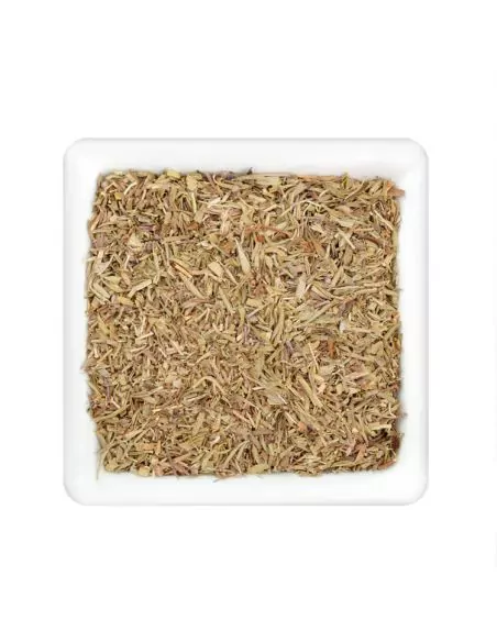 Quadratischer Teller mit getrocknetem, grün-braunem Bohnenkraut in gerebelter Form