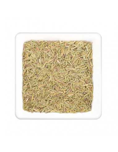 Getrocknete, grünlich-beige Rosmarinnadeln auf weißem, quadratischem Teller.