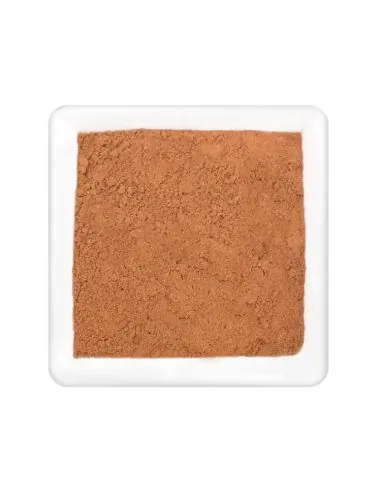 Fein gemahlene, braune Lebkuchen-Gewürzmischung in weißer Schale.