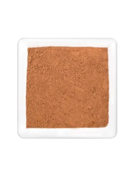 Fein gemahlene, braune Lebkuchen-Gewürzmischung in weißer Schale.