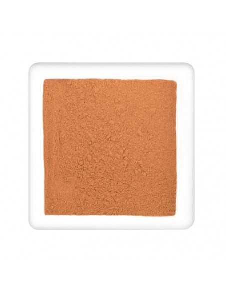 Fein gemahlenes, zimtbraunes Pulver auf weißem, quadratischem Teller.