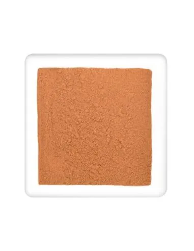 Fein gemahlenes, hellbraunes Gewürzpulver in weißer Schale.