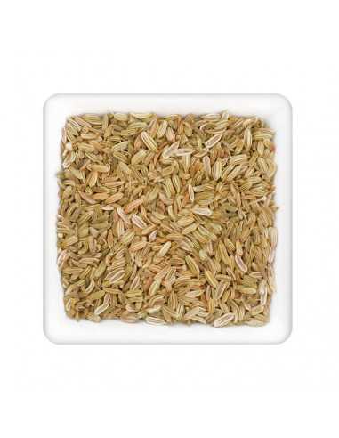 Helle, längliche Fenchelsamen dicht aneinandergereiht in weißer, quadratischer Schale