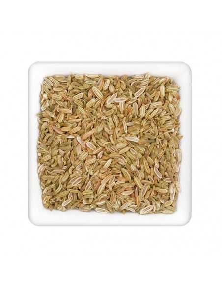 Helle, längliche Fenchelsamen dicht aneinandergereiht in weißer, quadratischer Schale