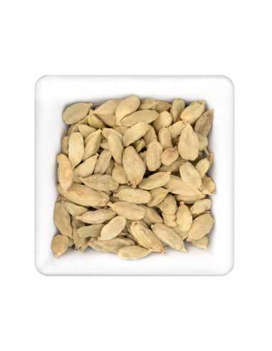 Helle Kardamomkapseln locker in quadratischer Schale angeordnet