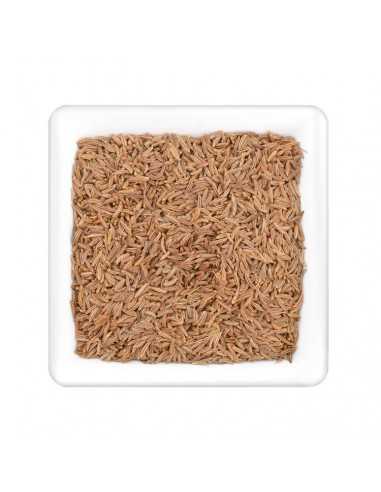 Hellbraune, länglich-ovale Kümmelsamen in dichter Streuung auf weißem Untergrund.