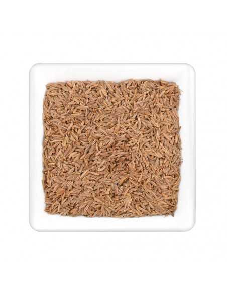 Hellbraune, länglich-ovale Kümmelsamen in dichter Streuung auf weißem Untergrund.