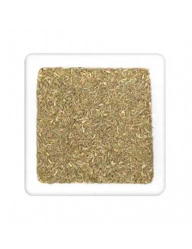 Quadratischer Teller mit fein geschnittenen, getrockneten Thymianblättchen in hellem Olivgrün