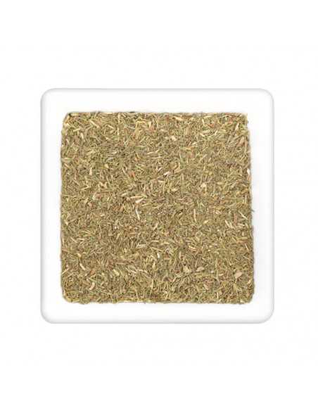 Quadratischer Teller mit fein geschnittenen, getrockneten Thymianblättchen in hellem Olivgrün