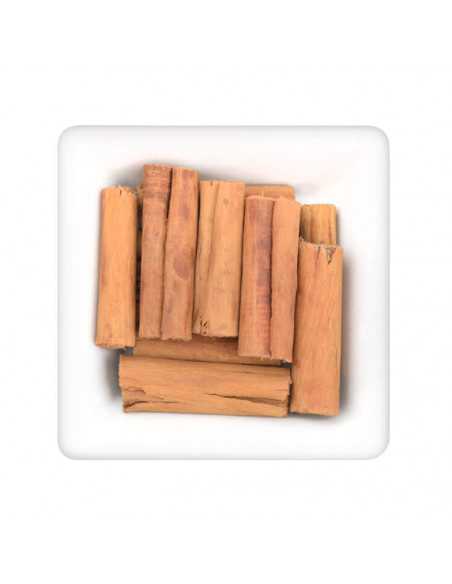 Quadratischer Teller mit mehreren ganzen, aufgerollten Zimtstangen Quadratischer Teller mit mehreren ganzen, aufgerollten Zimtstangen