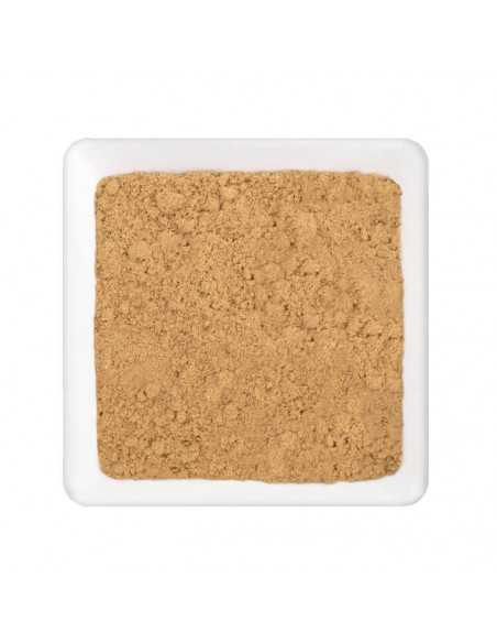 Heller, feiner Gewürzpulver-Haufen in quadratischer weißer Schale