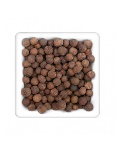 Quadratischer Teller mit ganzen, braunen Pimentkörnern