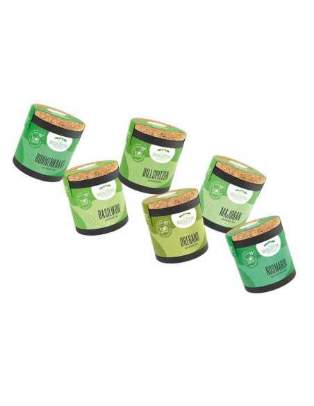 Sechs Bio-Pappdosen mit verschiedenen Farben und Gewürzsorten stehen locker nebeneinander