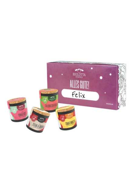 Vier bunte Bio-Pappdosen vor lilafarbener Geschenkbox mit dem Schriftzug „Alles Gute!“ und einem Namensfeld