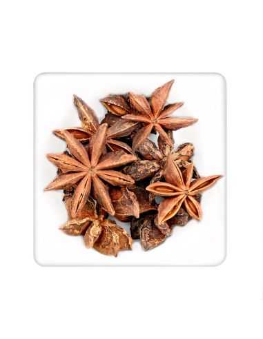 Quadratischer Teller mit mehreren ganzen, braunen Sternanisfrüchten